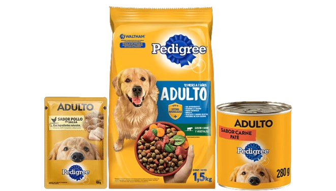 Patrocinador