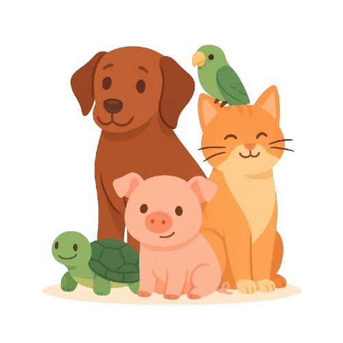 Mascotas Seguridad
